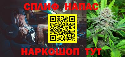 индика Обь