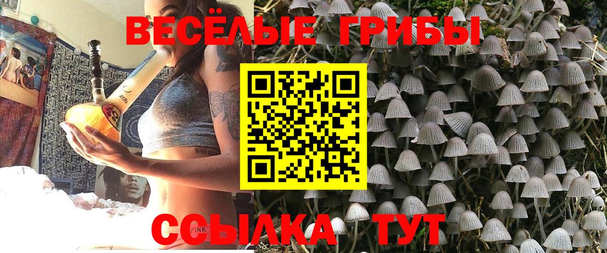 Галлюциногенные грибы GOLDEN TEACHER Тайшет
